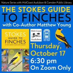 10/17: Midcoast Audbon & CPL present “The Stokes Guide to Finches” with Matthew Young